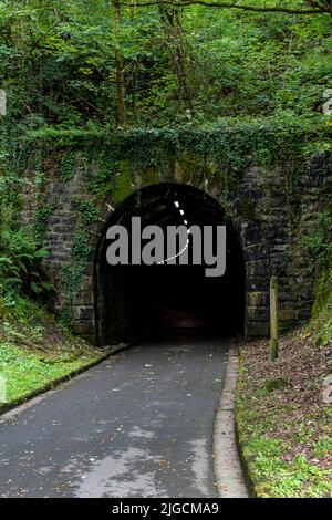 Abbandonato spooky tunnel di pietra scura nella foresta con una strada e luci. Vista fiabesca di Halloween Foto Stock