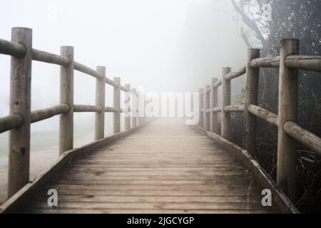 Tortuosa strada di campagna nella nebbia - Trail, ponte pedonale in legno attraverso la foresta sempreverde scuro nella nebbia. Suggestivo paesaggio autunnale. Concetti di fantasma Foto Stock