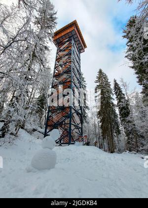 Torre di avvistamento tra alberi di conifere. Torre di osservazione degli uccelli presso il parco nazionale. Snowman si trova ai piedi della torre di osservazione. Foto Stock