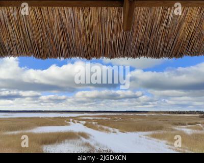 Paesaggio di lago ghiacciato. Paludi e canne secche. Parte del tetto in paglia nella parte anteriore del paesaggio. Foto Stock