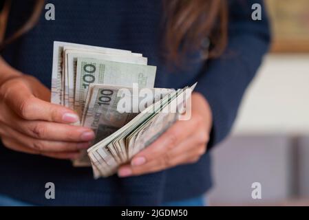 la ragazza tiene nelle sue mani banconote denaro lucidare zlotys e penny monete stipendio per il pagamento Foto Stock