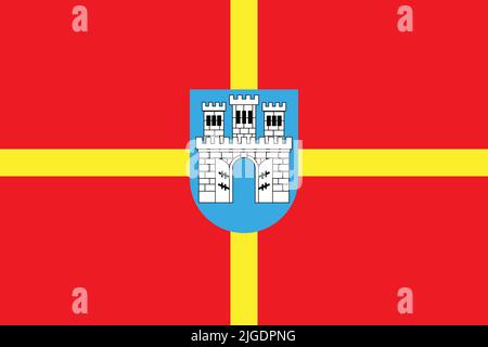 Bandiera dell'OBLAST DI ZHYTOMYR, UCRAINA Illustrazione Vettoriale