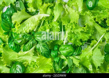 Primo piano con foglie di lattuga e basilico. Sfondo culinario Foto Stock