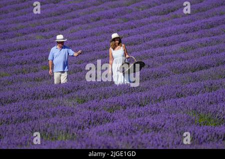 Andrew (a sinistra) e Rosie Elms, proprietari di Lordington Lavender nel Sussex occidentale, ispezionano le file di lavanda nella loro fattoria vicino Chichester prima della loro settimana aperta che va dal 11th al 17th luglio. Lordington Lavender è stata fondata nel 2002 dal contadino Andrew Elms che cerca un nuovo modo di diversificare, e durante il blocco sono stati piantati altri 5 acri, raddoppiando la copertura a 10 acri. Data foto: Domenica 10 luglio 2022. Foto Stock