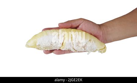 Un primo piano di un Durio in mano isolato su sfondo bianco Foto Stock