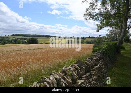 Vista sulla campagna da una strada vicino al villaggio Gloucestershire di Condicote vicino a Stow on the Wold Foto Stock