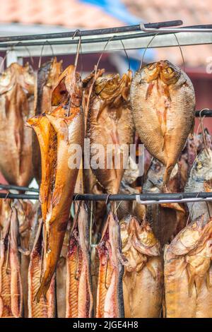 Appeso fumo-essiccato vari pesci in un mercato del pesce appena fumato con trucioli di legno duro in un fumatore e pronto a mangiare, verticale Foto Stock