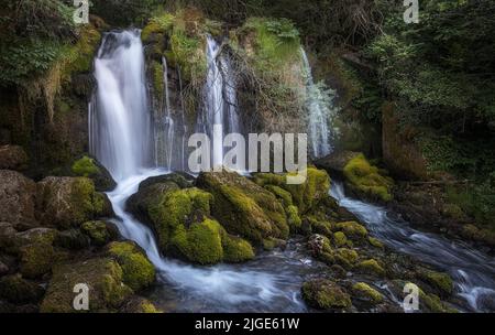 Sorgente del fiume Bastareny a Baga, Parco Naturale di Cadi Moixero, Catalogna Foto Stock