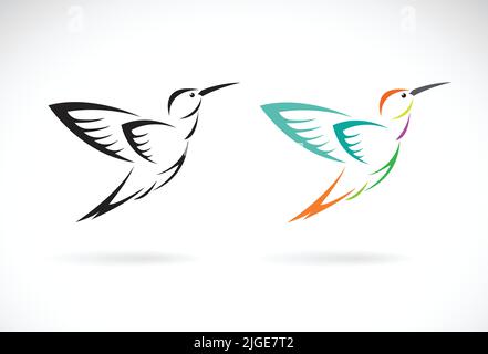 Vettore di disegno di uccello humming su sfondo bianco. Uccello. Animali. Illustrazione vettoriale a livelli facilmente modificabile. Illustrazione Vettoriale