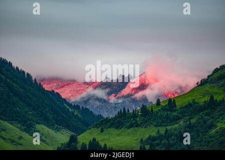 Vista da Damüls nella foresta di Bregenz al Rote Wand (2704 m) nella Lechquellgebirge a Alpenglühen, Vorarlberg, Austria Europa Foto Stock