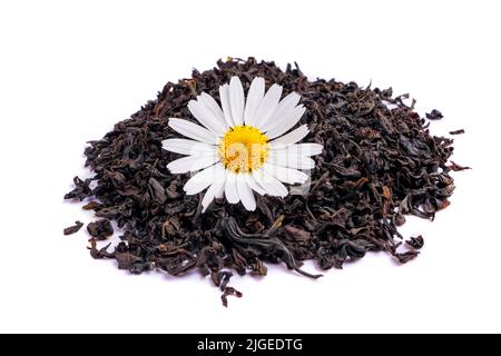 Mucchio di tè secco sciolto con fiore di camomilla isolato su sfondo bianco Foto Stock