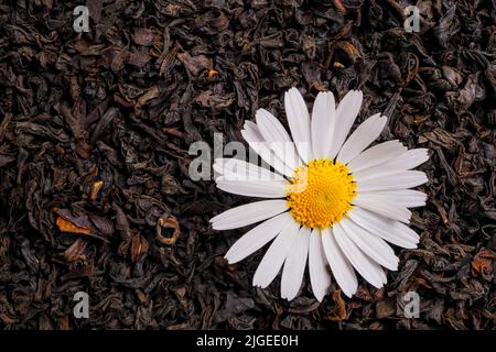 Vista dall'alto su tè secco sfuso con fiore di camomilla Foto Stock