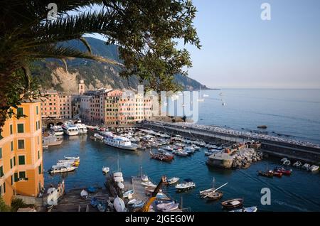 Marina con barche, yacht e traghetti chiamati Porticciolo di Camogli, Liguria, Italia. Porto di villaggio italiano sulla costa mediterranea Foto Stock