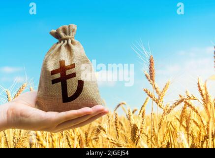 Campo di grano e lira turco sacchetto di denaro. Agroindustria e l'attività agricola. Crisi mondiale della sicurezza alimentare, prezzi elevati. Cereali e cereali defici Foto Stock