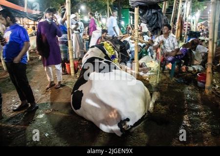 Dhaka, Bangladesh. 08th luglio 2022. Venditori che vendono vacche nel mercato di EID-UL-ADHA. EID-UL-ADHA è il più grande festival del 2nd per i musulmani. La gente sacrifica mucche e capre in questa festa. Questa immagine è stata catturata il 2022-07-07, dal mercato della mucca Shahajanpur EID-UL-ADHA, Dhaka. (Foto di Md. Noor Hossain/Pacific Press) Credit: Pacific Press Media Production Corp./Alamy Live News Foto Stock