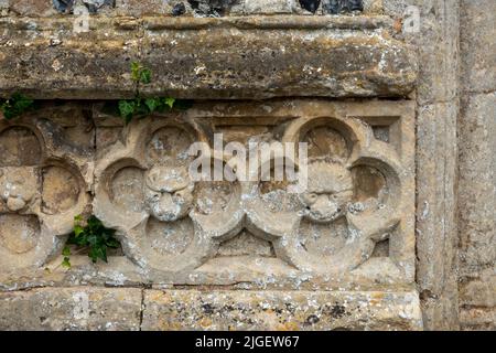 Facce di tipo lupo animale intagliate nel fregio delle pareti esterne della chiesa di San Michele, Tunstall, Suffolk, Regno Unito Foto Stock