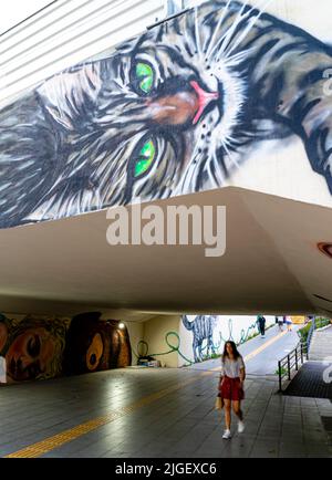 Murale raffigurante gatti di Axel Mengu su pareti sotto viadotto, ponte. Murales a Istanbul. Arte di strada, murale nel distretto di Kadiköy di Istanbul, Turchia Foto Stock