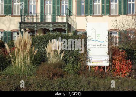 Haus Rose sulla piazza di Montrichard a Eltville, Rheingau, Taunus, Assia, Germania Foto Stock