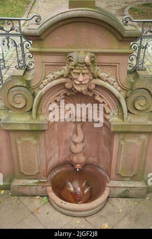 Champagne fontana come una fonte di guarigione a Bad Soden, Taunus, Assia, Germania Foto Stock