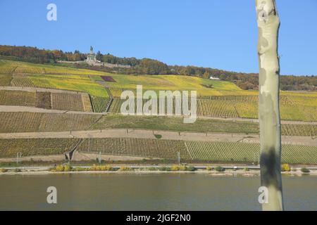 Vista dei vigneti in autunno con il Monumento Unesco Niederwald vicino a Rüdesheim am Rhein, Rheingau, Taunus, Hesse, alta Valle del Medio Reno, Germania Foto Stock