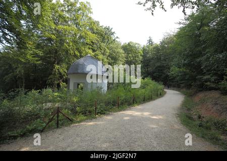 Grotta magica nel Parco Osteinsche, Rüdesheim, Rheingau, Taunus, Assia, Alta Valle del Medio Reno, Germania Foto Stock