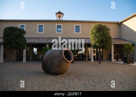 Mas des infirmières , azienda vinicola Ridley Scott . Oppede , Francia Foto Stock