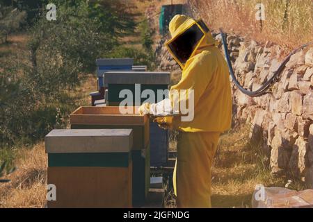 Giovane uomo adulto che fa apicoltura come un Hobby Foto Stock