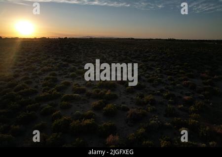 Tramonto del deserto che mostra l'intera di una piccola città agricola Foto Stock