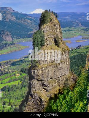 St. Peters Dome, Columbia River Gorge, Oregon Foto Stock