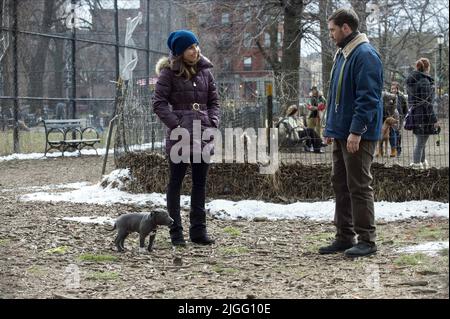 RAPACE, HARDY, THE DROP, 2014 Foto Stock