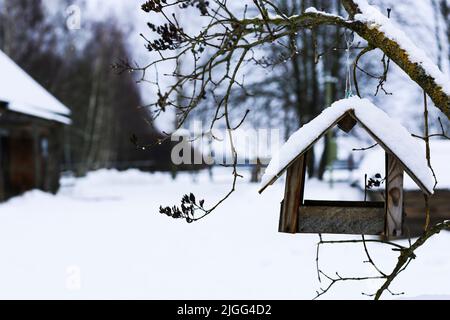 Alimentatore di uccello di legno su un albero. Paesaggio russo invernale. Abbandonato villaggio russo coperto di neve. Foto Stock