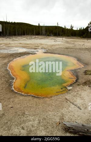 La colorata piscina Turquoise a Midway Geyser Basin di Yellowstone NP, Wyoming, USA. Foto Stock