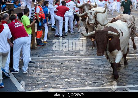 Pamplona, Spagna. 10th luglio 2022. Tori del bestiame di la Palmosilla, che termina la quarta corsa dei tori delle feste di San Fermin 2022, a Pamplona. Credit: SOPA Images Limited/Alamy Live News Foto Stock