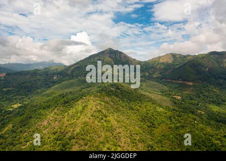 Gamma di montagne tropicali e pendii di montagna con foresta pluviale. Sri Lanka. Foto Stock