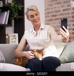 Una donna matura che prende selfie con il suo gatto a casa. Foto Stock