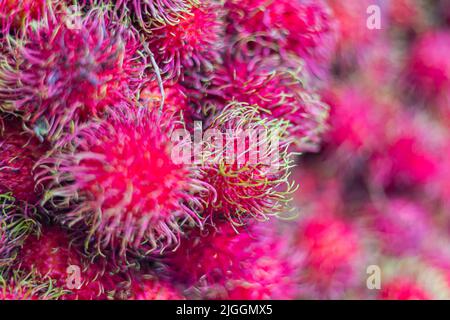 Un grande mazzo di Rambutan su un mercato fresco a Kuala Lumpur, Malesia. Cresce nel sud-est asiatico. Cestino di Rambutan fresco. Il nome è derivato da t Foto Stock