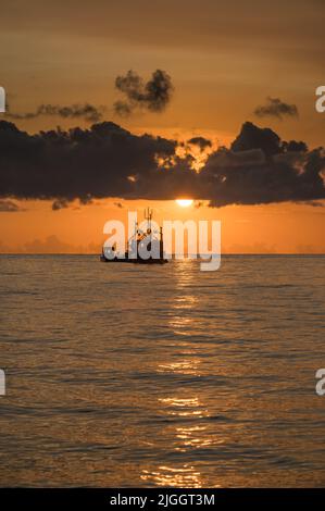 Splendida alba dorata su Palm Cove con la silhouette di un peschereccio ancorato al largo della costa nell'Estremo Nord Queensland in Australia. Foto Stock