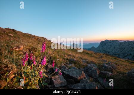 Parco Naturale di Urkiola all'alba, Vizcaya, Spagna Foto Stock