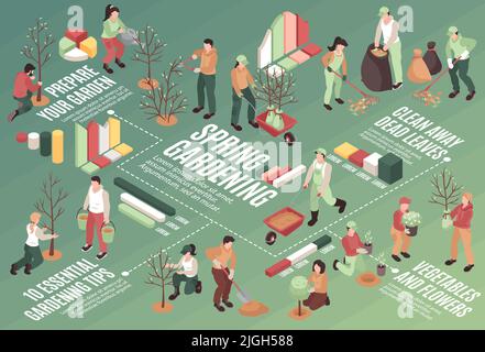 Primavera giardinaggio composizione orizzontale con elementi infografici e persone piantare alberi arare foglie potatura 3D illustrazione vettoriale Illustrazione Vettoriale
