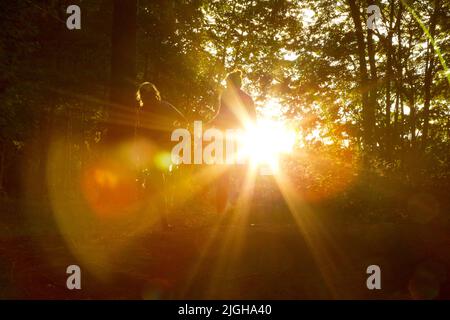 Sole di mezza estate durante le vacanze di mezza estate. Alcuni in una passeggiata nel sole di sera, Giovedi il 20th di giugno, la notte prima della vigilia di mezza estate. Foto Stock