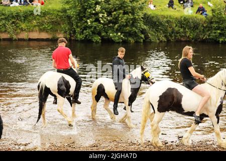 I giovani viaggiatori e i loro cavalli nel fiume Eden, Appleby Horse Fair, Appleby a Westmorland, Cumbria Foto Stock