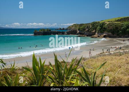 Persone che amano il mare e la sabbia di Anchor Bay, Tawharanui Regional Park, isola settentrionale, nuova Zelanda Foto Stock