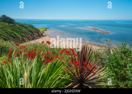 Una vista che guarda ad est lungo Exmouth Beach dalle cime della scogliera, Devon, Sud Ovest. Foto Stock