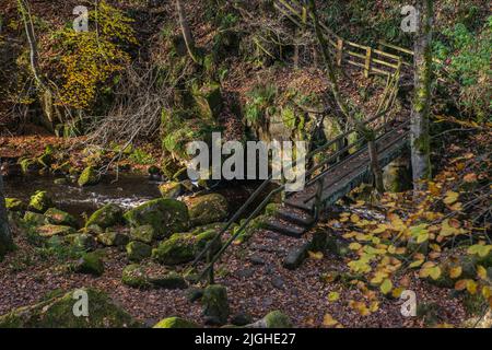 Ponte di legno su Burbage Brook a Padley Gorge, Derbyshire Foto Stock