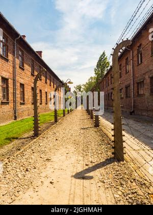 Oświęcim, Polonia - 05 Giugno 2019: recinto elettrico con il filo spinato e mattone carcere edifici al Campo di Concentramento di Auschwitz-Birkenau in Oświęcim, Foto Stock