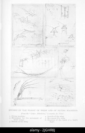 STUDI DEL VOLO DI UCCELLI E DI MACCHINE VOLANTI. Leonardo da Vinci da ' il Libro d'Italia ' di Raffaello piccoli, Data di pubblicazione 1916 Editore Londra. Unwin Foto Stock