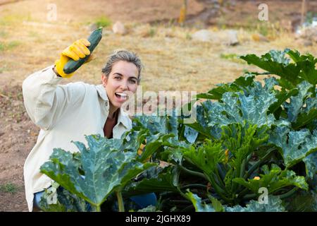 Giovane donna bionda felice e sorridente raccogliendo le verdure zucchine dalla pianta nel suo giardino Foto Stock