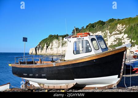 Beer Devon sgombro pesca barche sulla spiaggia Foto Stock