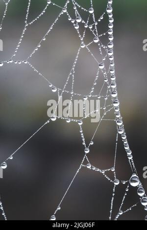 Un primo piano verticale di gocce di rugiada su un nastro di ciottoli Foto Stock