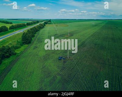 Un trattore erpita un campo verde. Vista aerea dell'aratura del trattore agricolo sul campo. Trattore che prepara in primavera il coltivatore a base di terreno Foto Stock